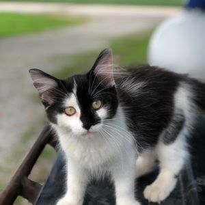 Meet your Posher, Holly